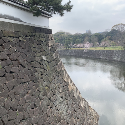 ���ی��㗝�X�Ђ��� ���T���� ���n����w��